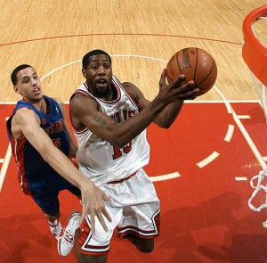 bulls